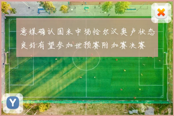 意媒确认国米中场恰尔汉奥卢状态良好有望参加世预赛附加赛决赛